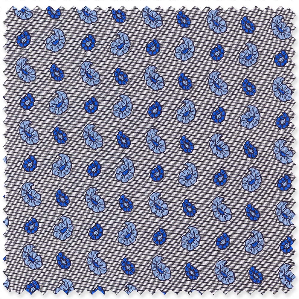 Silver Neat Paisley