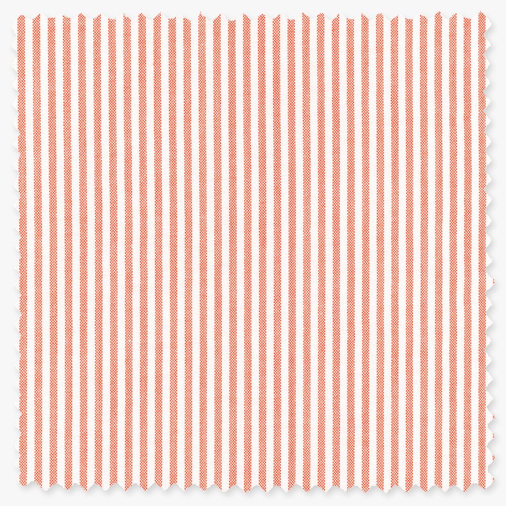 Orange Stripe Spring Oxford